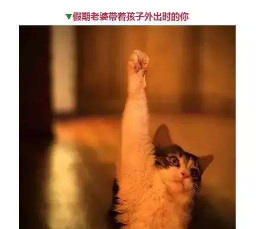 钓鱼人的那些表情，看看你中了几个