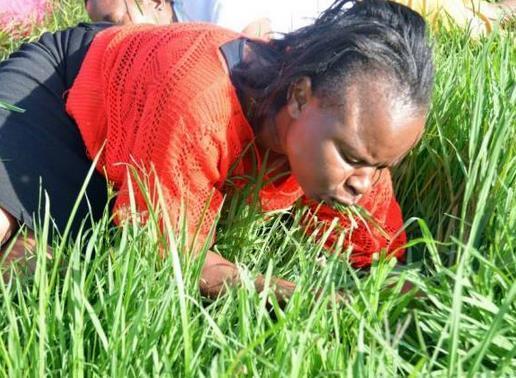 太平天国被围困引发饥荒, 洪秀全带头吃一种食