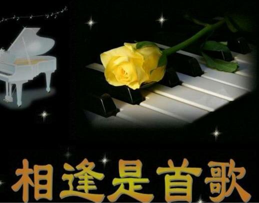 网络一线牵,珍惜这段缘,深刻的情感等待的体会