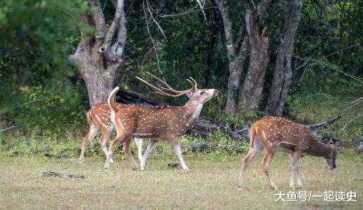 苦命皇帝咸丰: 坏事全被他赶上了, 最后因纵欲过