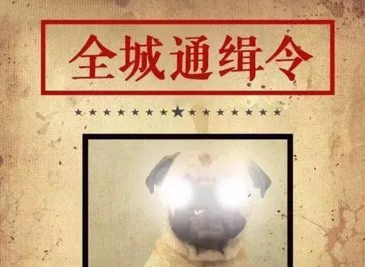 凯翼X5  远离远光狗，做中国好司机！