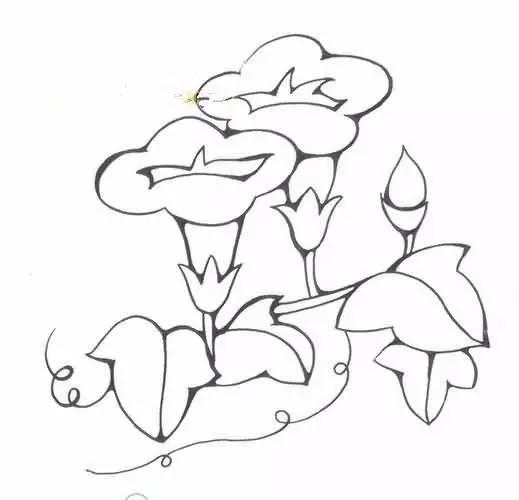 「简笔画」各种植物简笔画大全，可以直接涂色哦!(为孩子收藏)