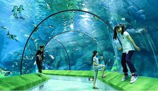罗源湾海洋世界