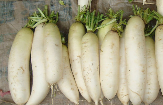 冬天每天晚上吃白萝卜,除了开胃,还有这5大保