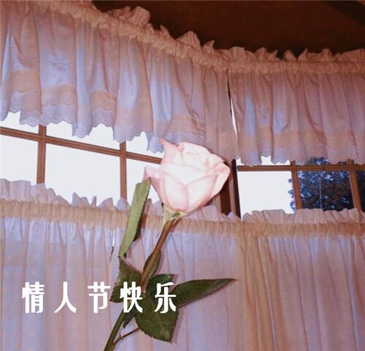 2018情人节送花经典语录，情人节送花寄语情话大全