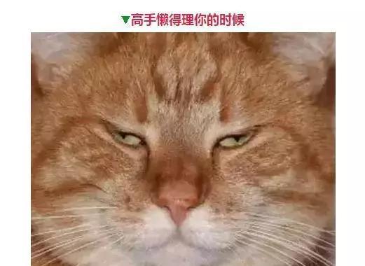 钓鱼人的那些表情，看看你中了几个