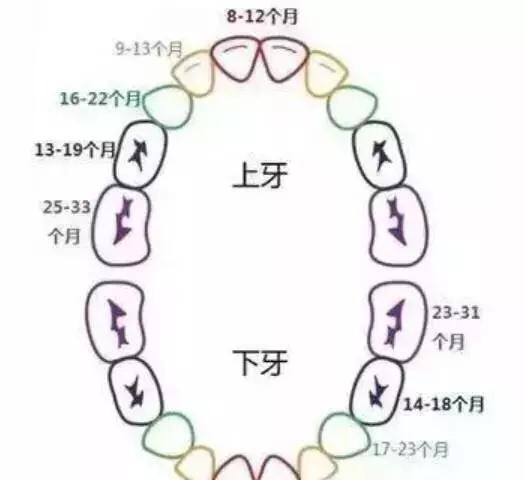 宝宝十个月了,一颗牙都没长出来,急坏妈妈了…