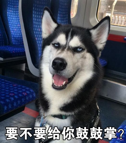 哈士奇表情包带字