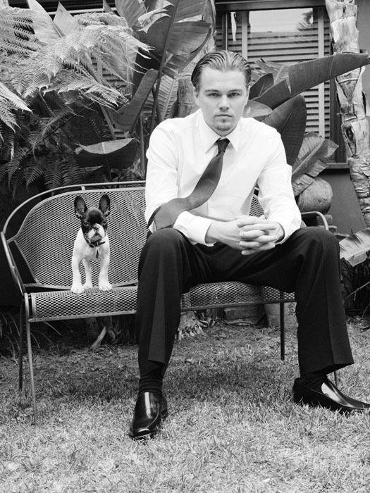 一部《妖猫传》,炸出了一大波猫奴和狗控