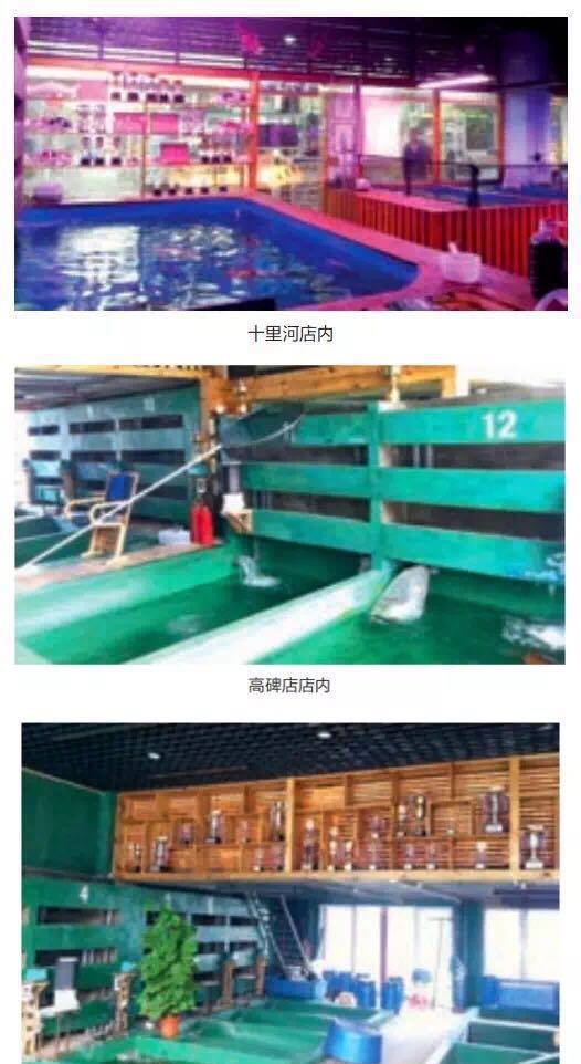 马云、张国立、董炯也耍锦鲤，而且一个比一个玩的大！好厉害