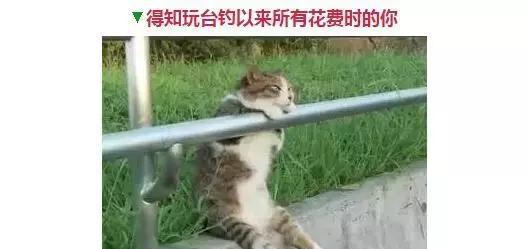 钓鱼人的那些表情，看看你中了几个