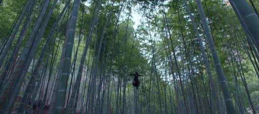 佟丽娅人品还用说!杨幂节目一句话暴露两人友