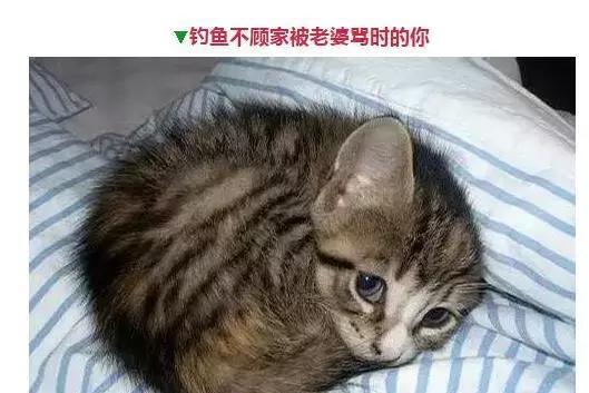 钓鱼人的那些表情，看看你中了几个