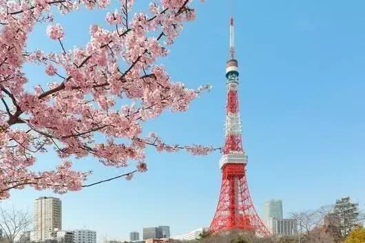 日本签证申请3月起变严!简化程序恐取消!今年