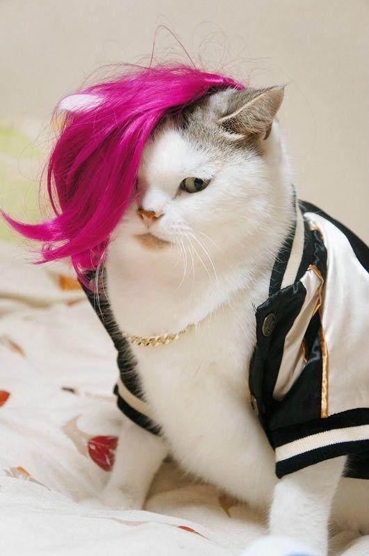 搞笑图片幽默段子笑话: 活得还不如一个和尚, 我真是太失败了