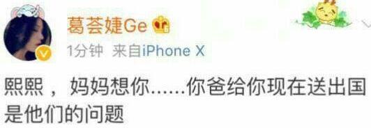 怪不得小苹果喜欢后妈! 葛荟婕怒怼章子怡, 国
