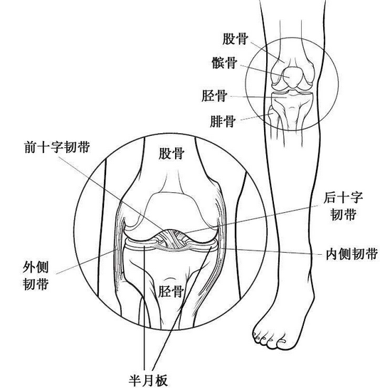 一招摆脱半月板损伤不再是梦,这个方法治一个