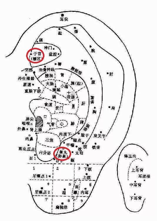 学会这5种耳朵按摩养生法,轻松告别身体"老毛病"!