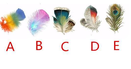 超准心理测试:5根羽毛选一根，测出未来你会早婚还是晚婚?