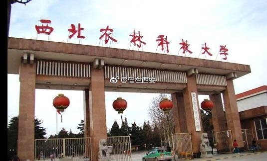 西安大学高校顺口溜[允悲]