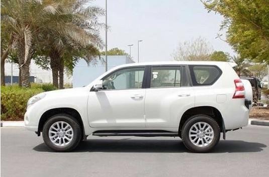 此款国产车为丰田陆巡和普拉多结合体，到目前为止今年仅卖出一辆