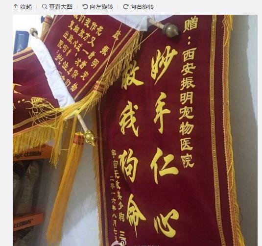 搞笑|宠物医院收到的锦旗,哈哈哈!