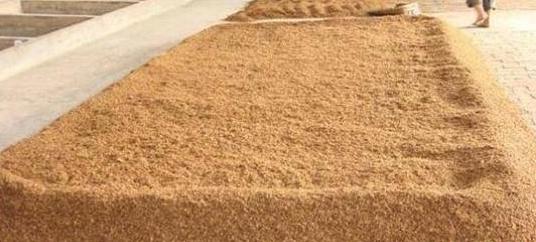 酿酒技术:酒曲子、传统黄酒制作