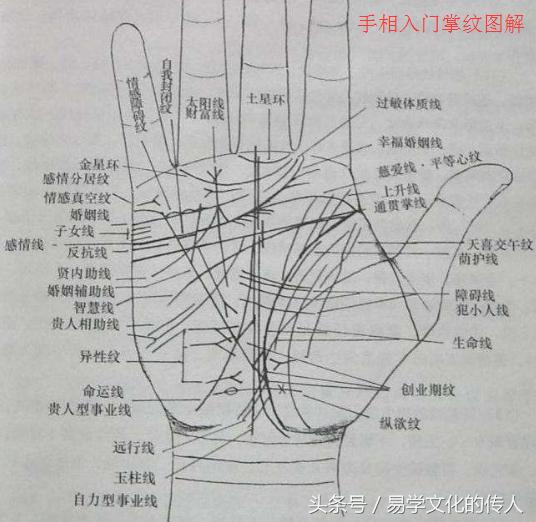 相术口诀:面相手相"看"婚姻
