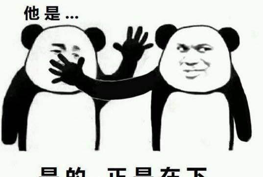 四只狗拆家还咬断了监控,因为没有证据,二哈表情很嚣张