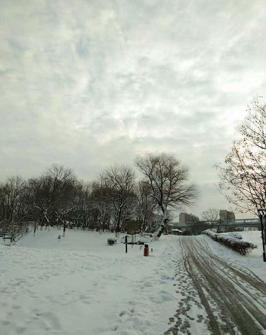 2018年石家庄还没下雪,有点儿想念2009年的那场大雪了