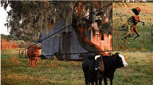 十大无法考证的恐怖生物 蒙古死亡之虫