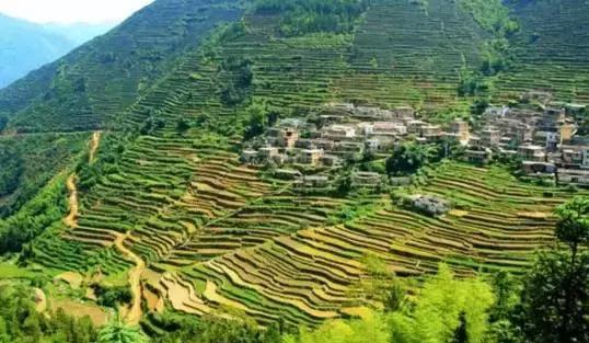 美丽乡村行之西坑村——厦门的“西藏”