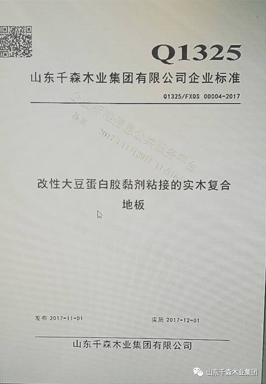 千森木业E0胶合板系列企业标准化专家论证会