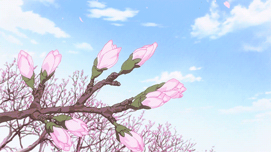 在寒冷的季节中,梅花首先绽放,迎接春天的到来.