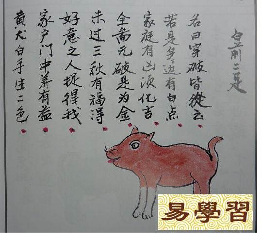 哪种狗能辟邪镇宅,哪种犬能富贵旺家?民间秘传的相犬经《相.