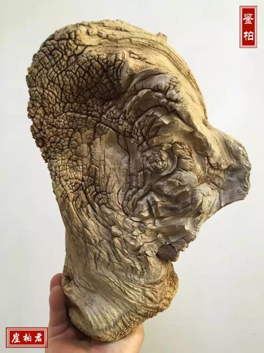 林彩娟:沧桑之美,崖柏老茬头之美