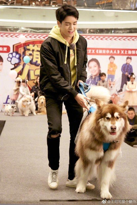 王思聪的狗子穿上奚梦瑶同款裙子走T台