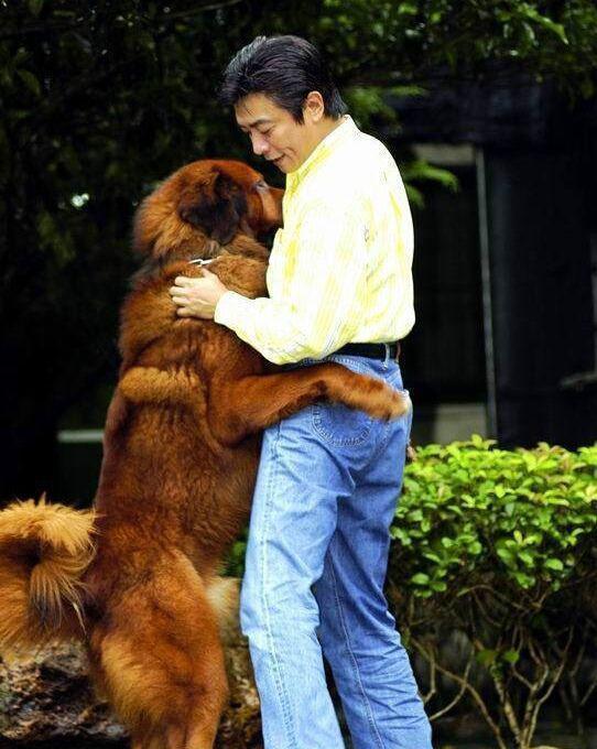 琼瑶电视剧星的爱恨情仇