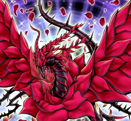 《游戏王5ds》龙痣者之龙,动画「红龙」六大部分!