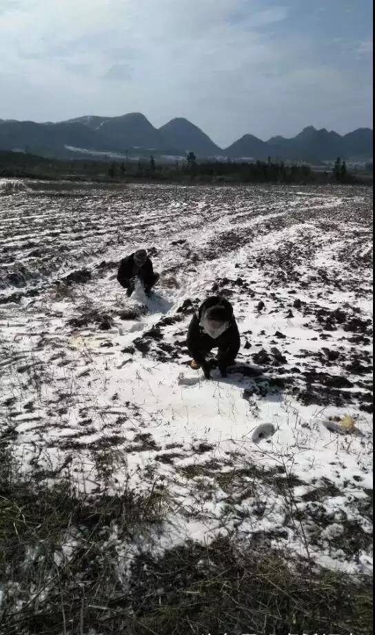 连州下雪啦!2018广东的第一场雪在连州!天气预