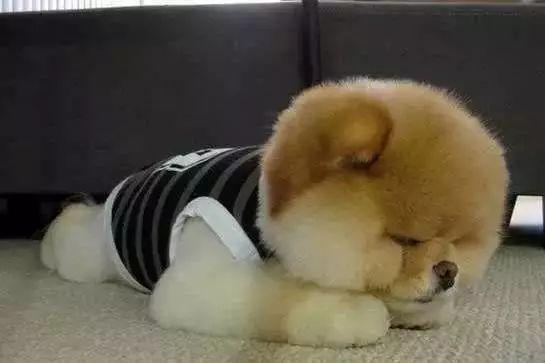 开工大吉 | 春节收假第一天,你是不是这样的