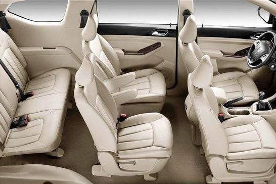 这车价格不贵，老婆说开出去有面子，能装的下一家七口人