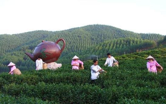 揭阳8个旅游景点全在这里，身为揭阳人别再说不知道去哪里玩