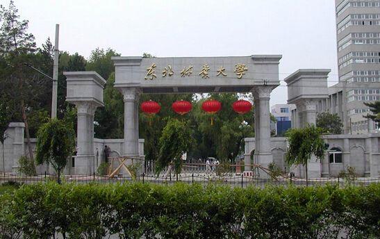 中国大学占地面积排行榜