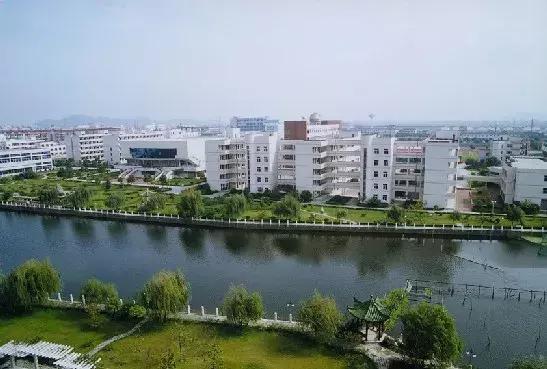 2020杭州排名前八中_杭二、学军厉害了!2020五大学科竞赛结果揭