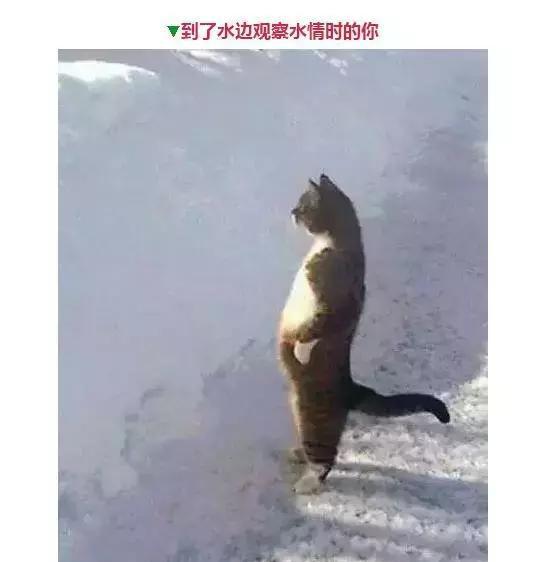 钓鱼人的那些表情，看看你中了几个