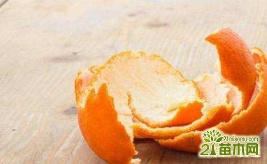 你不知道的橘子皮,拿它来养花, 泡水浇花方法详