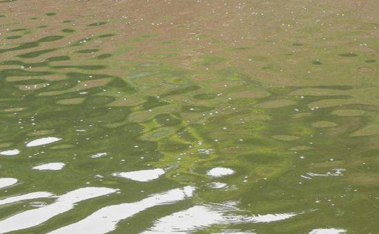 初学钓鱼不用慌,这10项技巧帮你解忧