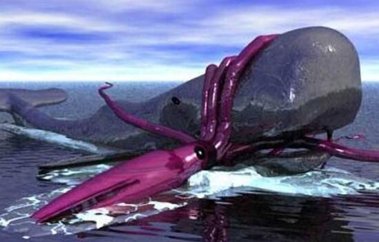 地球上最大的乌贼,堪称现实版北海巨妖,深海中的恐怖怪兽