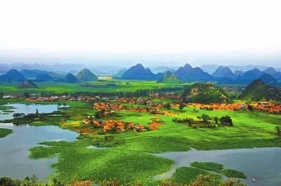 云南16个州市酒量排行榜!排行倒数的曲靖人表